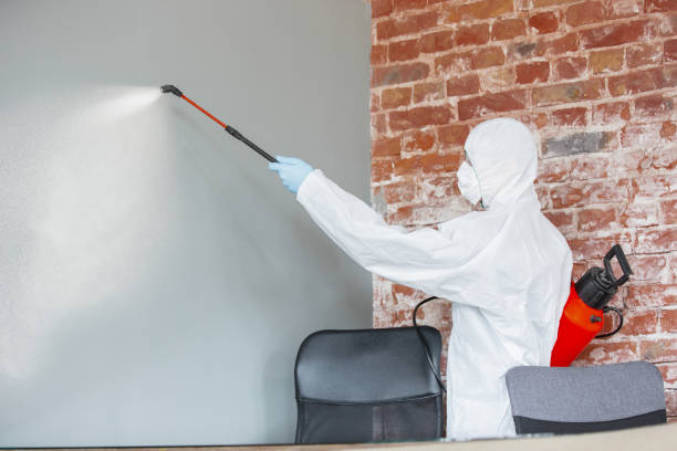 Best Industrial Mold Remediation  in Myrtle Grove, FL