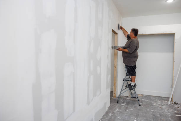 Best Biohazard Mold Removal  in Myrtle Grove, FL