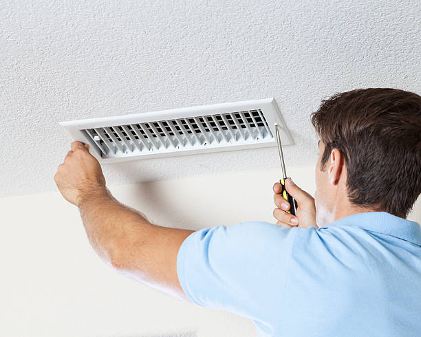 Best Mold Documentation for Insurance Claims  in Myrtle Grove, FL