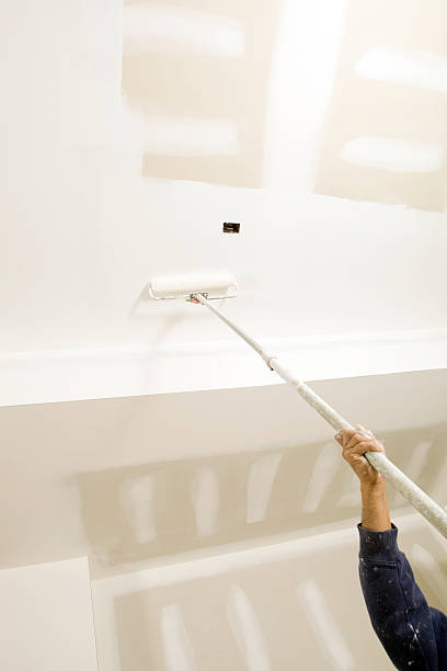 Best Mold Damage Restoration  in Myrtle Grove, FL