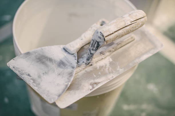 Best Commercial Mold Inspection  in Myrtle Grove, FL